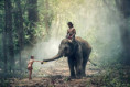 /album/fotogaleria-lakadivy-zajazd/lakadivy-zajazd-india-jamajkanita-32-jpg/